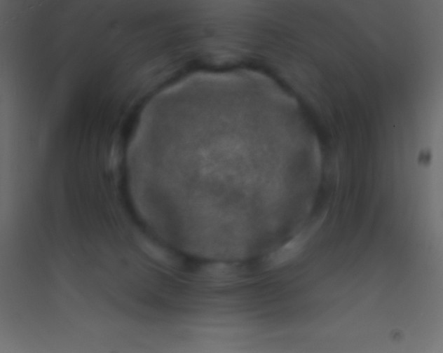 X0000094960082200712131654