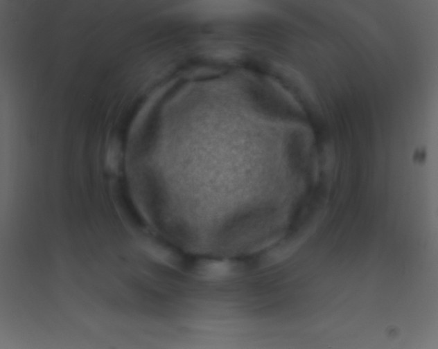 X0000094960083200712131654