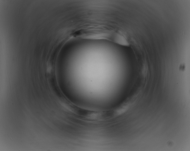 X0000094960084200712131654