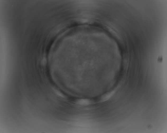 X0000094960085200712131654