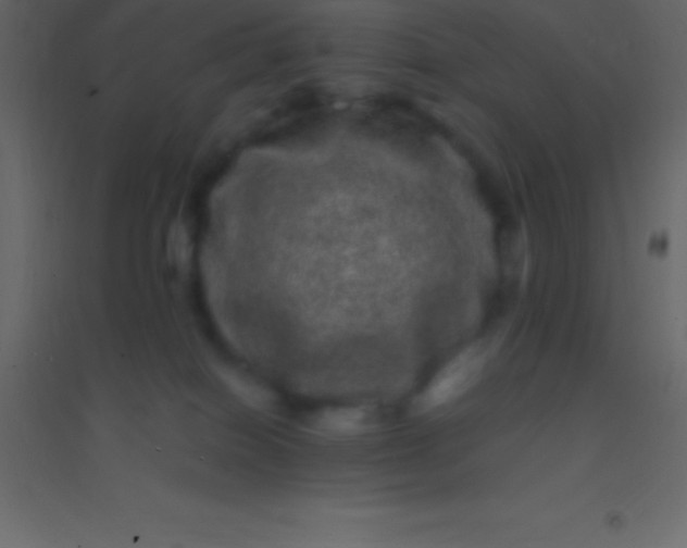 X0000094960086200712131654