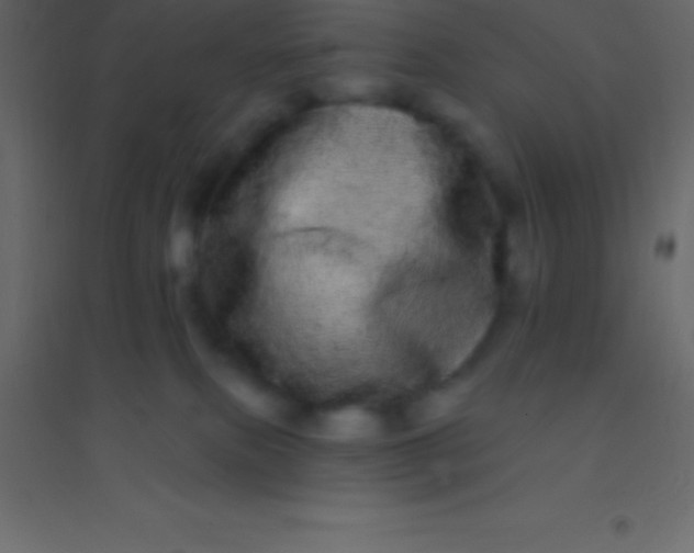 X0000094960087200712131654