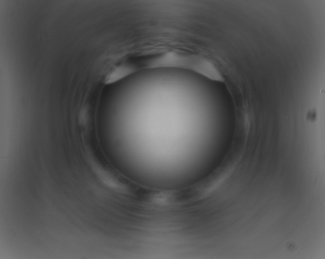 X0000094960088200712131654