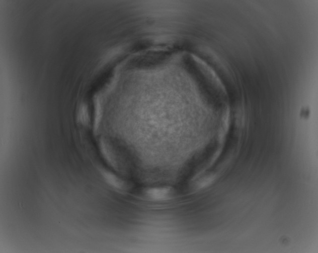 X0000094960089200712131655