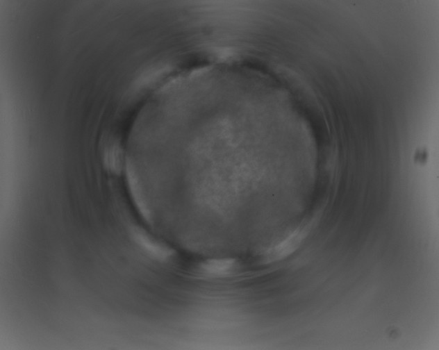 X0000094960090200712131655