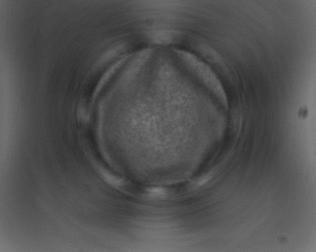 X0000094960091200712131655