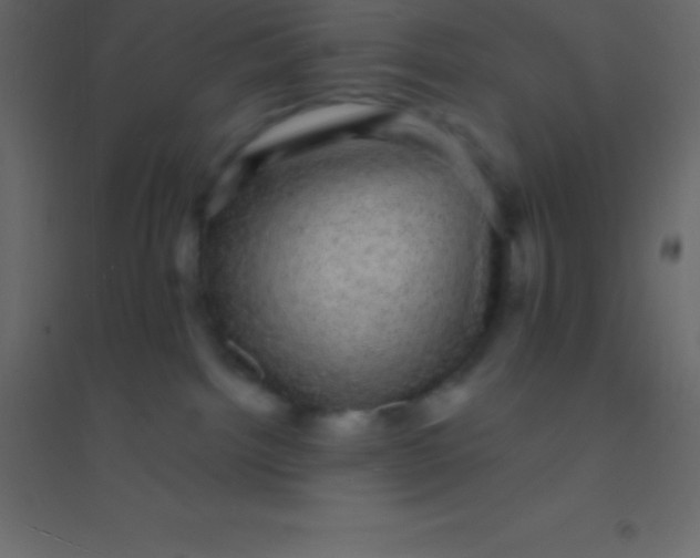 X0000094960092200712131655