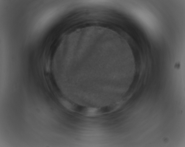 X0000094960093200712131655