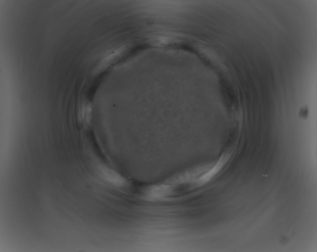 X0000094960094200712131655