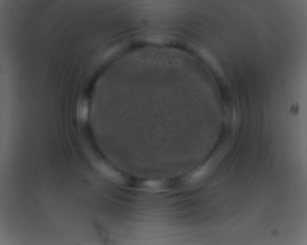 X0000094960095200712131655