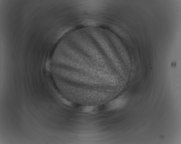 X0000094960096200712131655