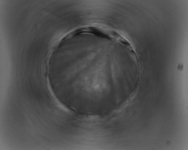 X0000094960097200712131654