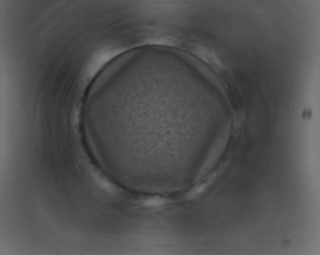 X0000094960098200712131654