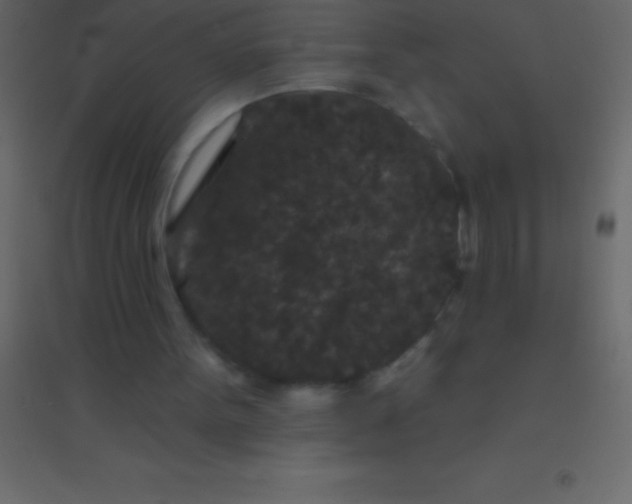 X0000094960099200712131654