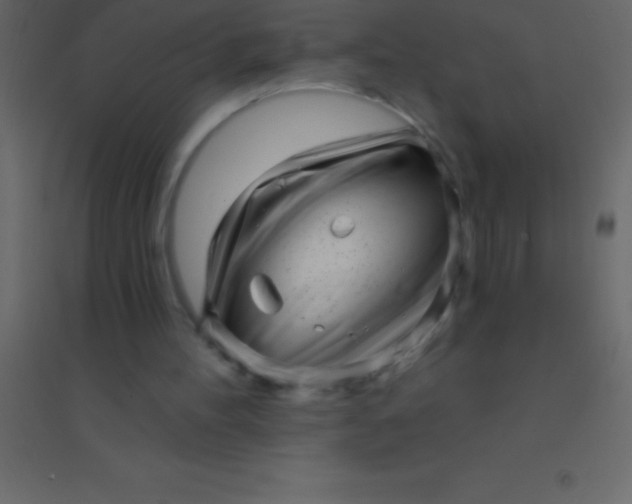 X0000094960100200712131654