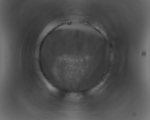 X0000094960101200712131654