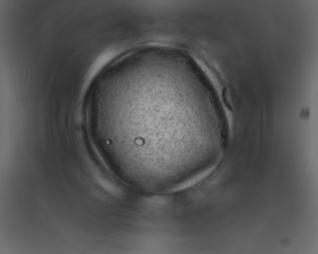 X0000094960102200712131654