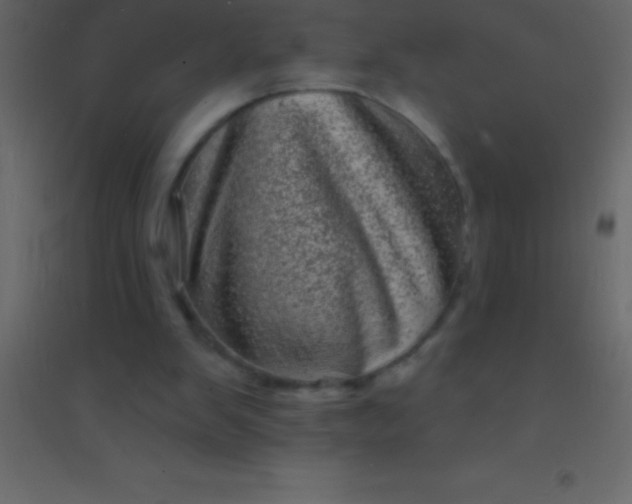 X0000094960103200712131654