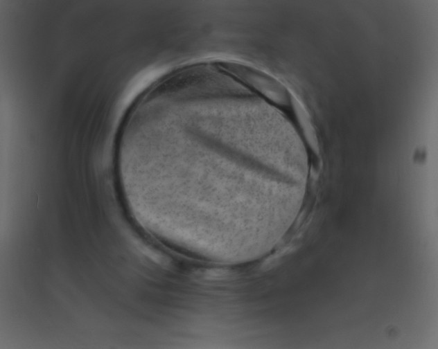 X0000094960104200712131654