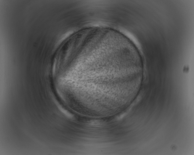 X0000094960105200712131654