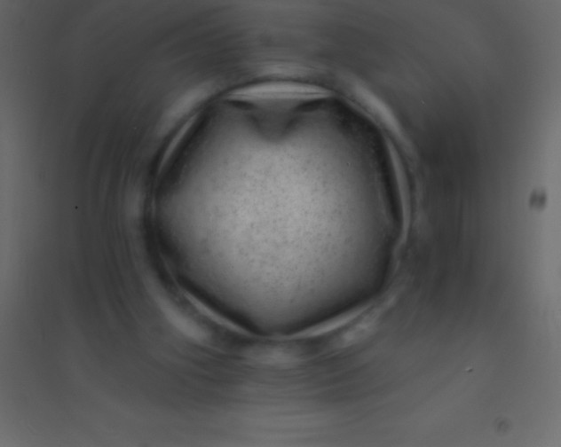 X0000094960106200712131654