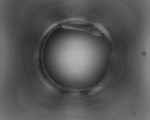 X0000094960108200712131654