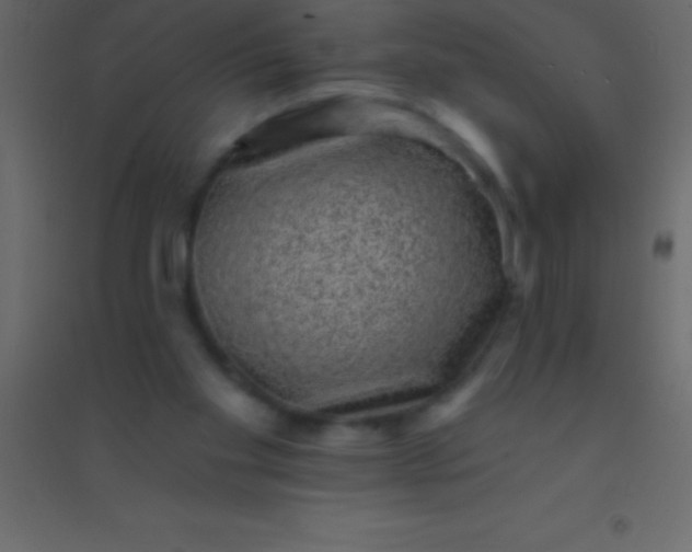 X0000094960109200712131654