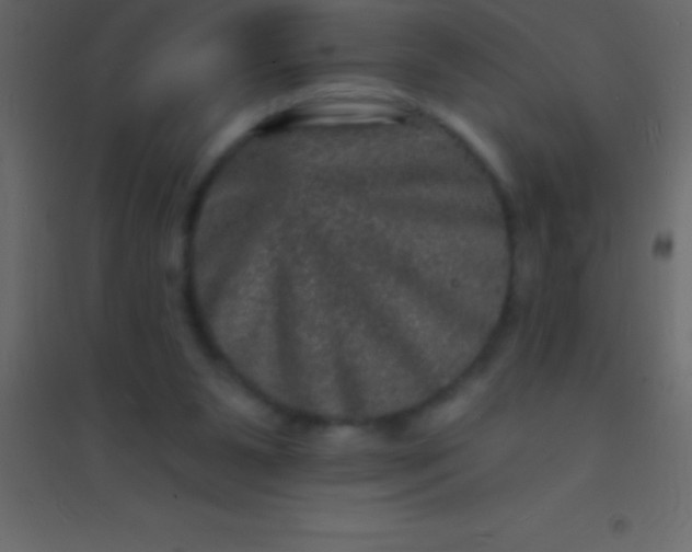 X0000094960111200712131654