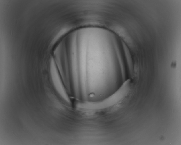 X0000094960112200712131654