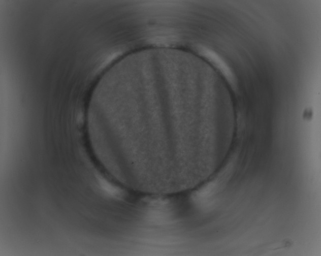 X0000094960113200712131654