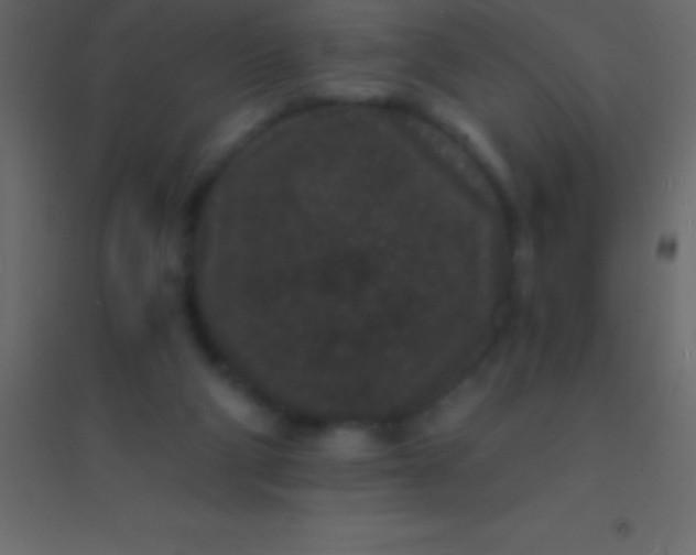 X0000094960114200712131654