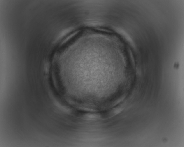 X0000094960115200712131654