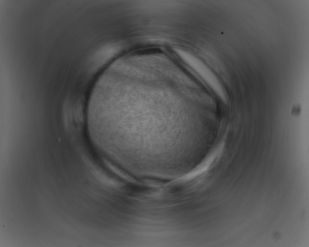 X0000094960116200712131654