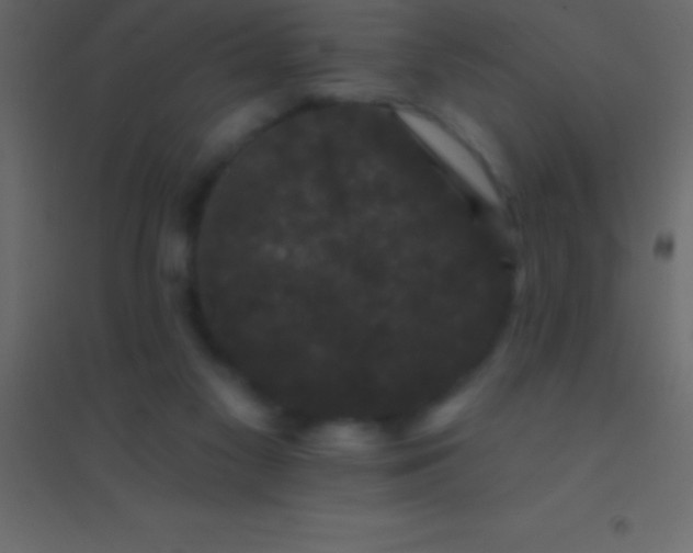 X0000094960117200712131654