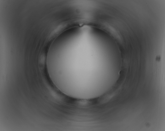 X0000094960118200712131654