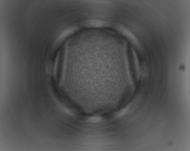 X0000094960119200712131654