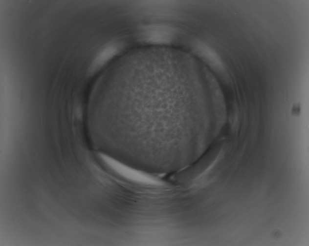 X0000094960120200712131654