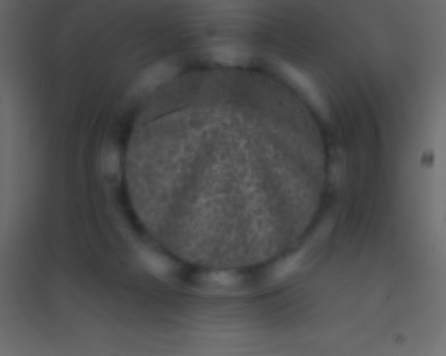 X0000094960121200712131654