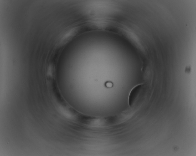 X0000094960122200712131654