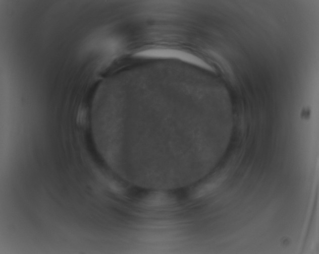 X0000094960123200712131654