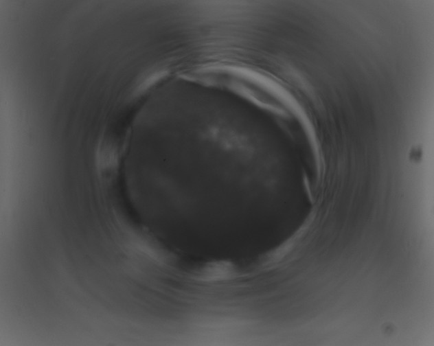 X0000094960124200712131654