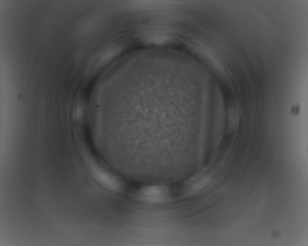 X0000094960126200712131654