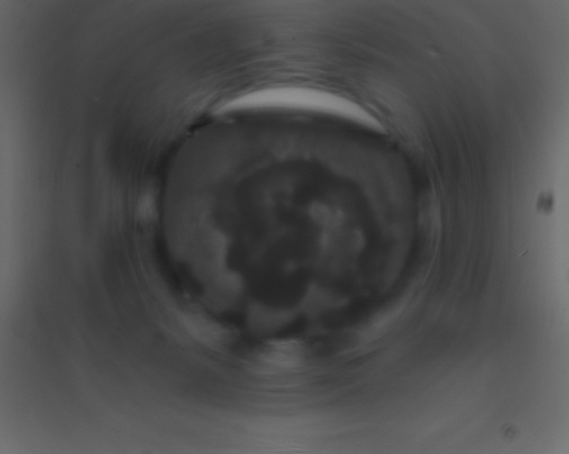 X0000094960127200712131654