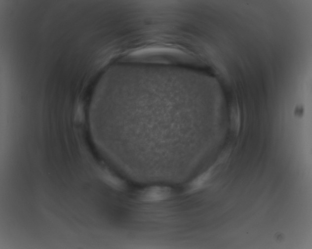 X0000094960128200712131654