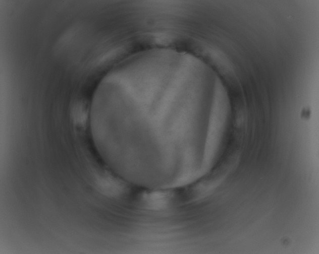 X0000094960129200712131653