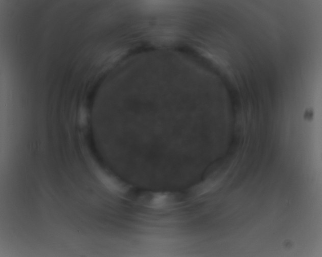 X0000094960130200712131653