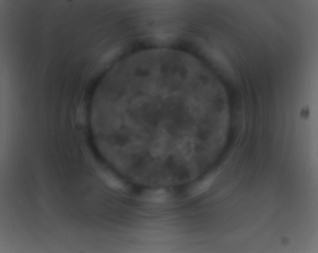 X0000094960131200712131653