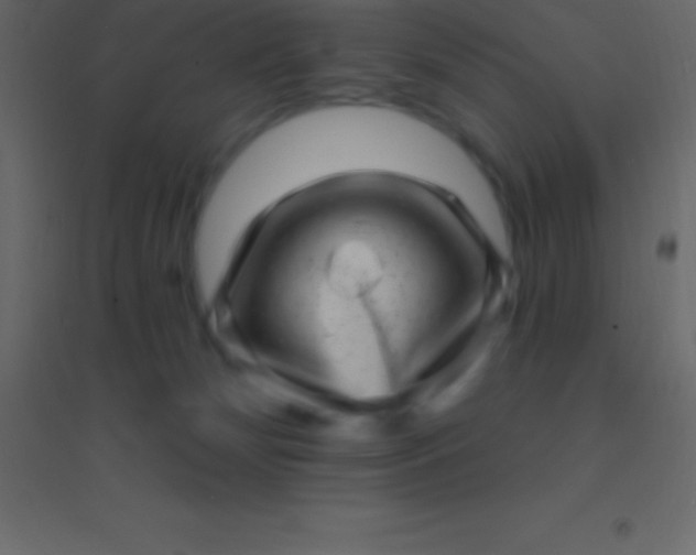 X0000094960132200712131653