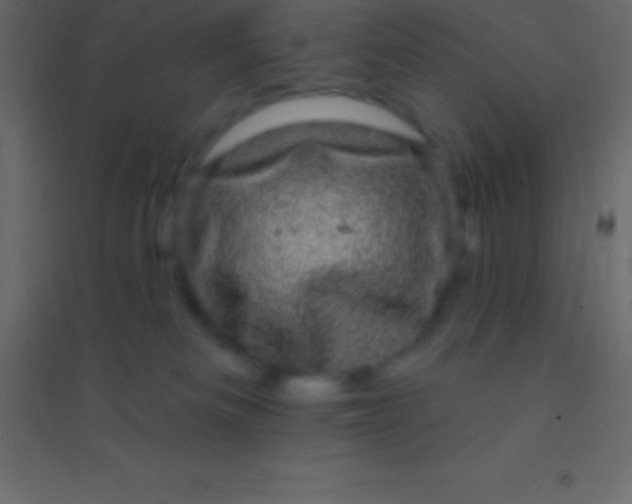 X0000094960133200712131653