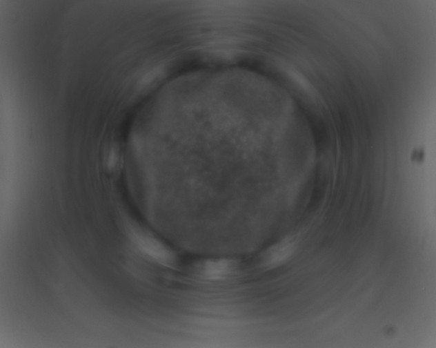 X0000094960134200712131653